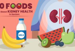 Excellent Top 10 Foods that Boost Kidney Health in Seniors