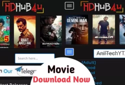 Is Downloading Movies From HDhub4U Legal?