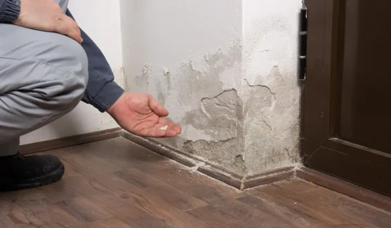 The Worst Types of Water Damage for Your Home